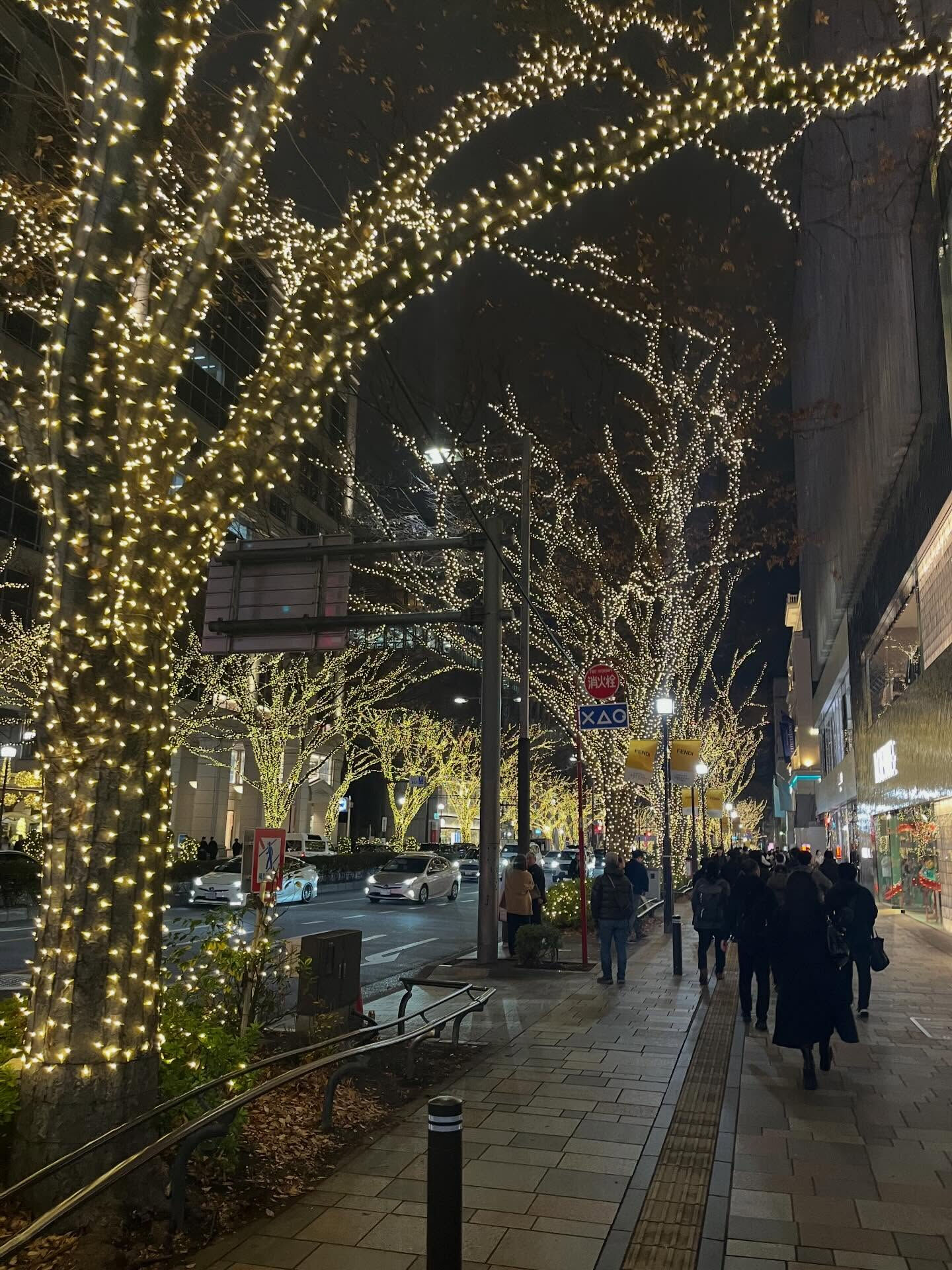 何十年かぶりに表参道に行って